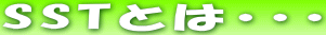 SST�Ƃ́E�E�E 