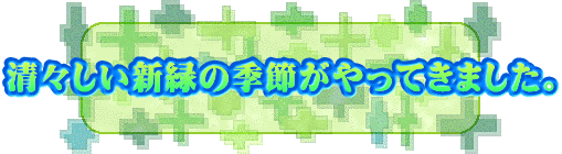 ���X�����V�΂̋G�߂�����Ă��܂����B