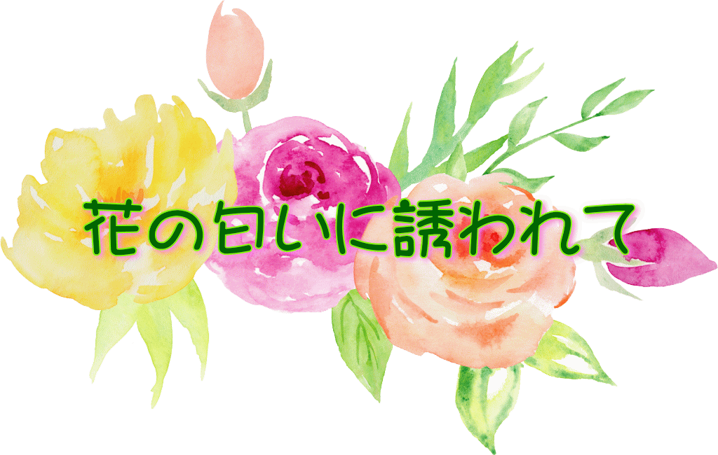 �Ԃ̓����ɗU����