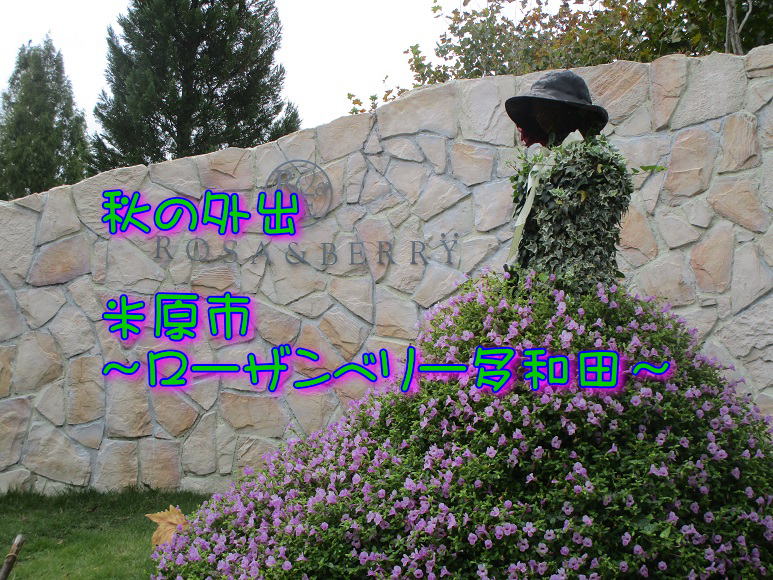 �H�̊O�o  �Č��s �`���[�U���x���[���a�c�` 